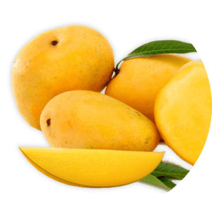 anwar-ratol-mangoes-page-modified (1)