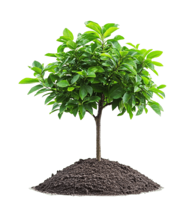 agrimore-growth agrimore-growth